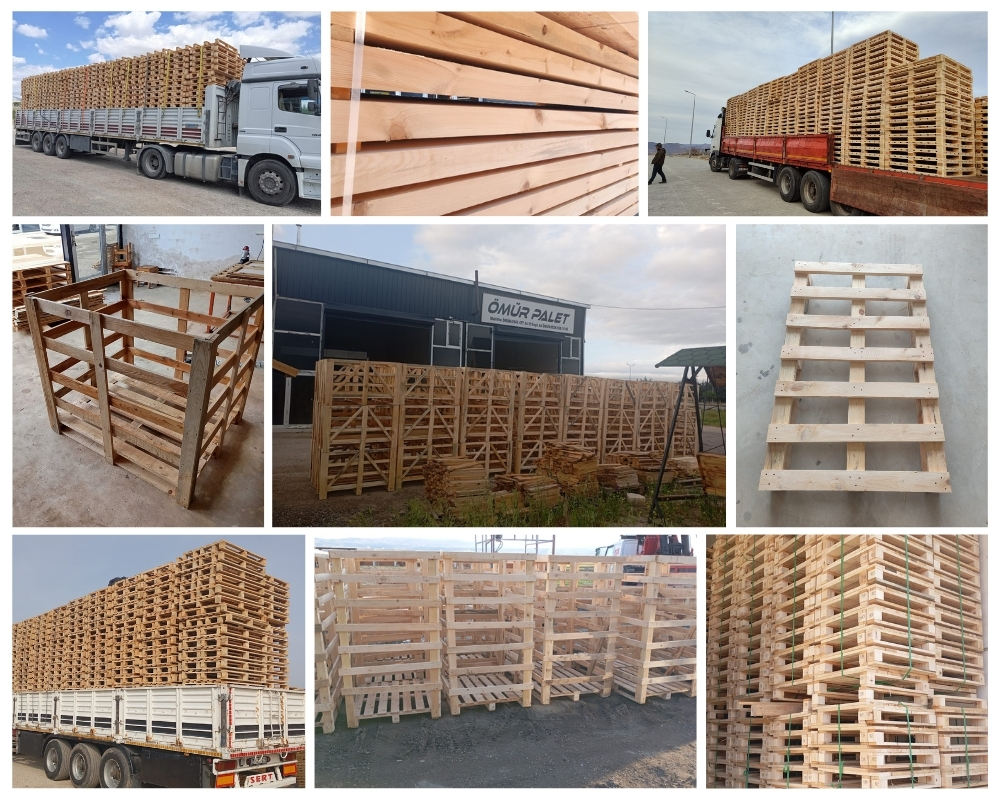 Huizen Houten Kisten, Europallets Groothandel Kopen